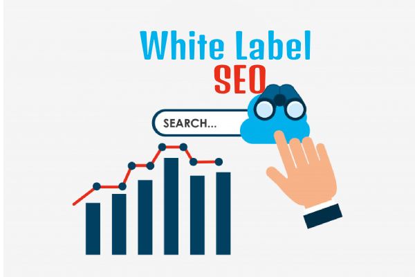White Label SEO South Africa